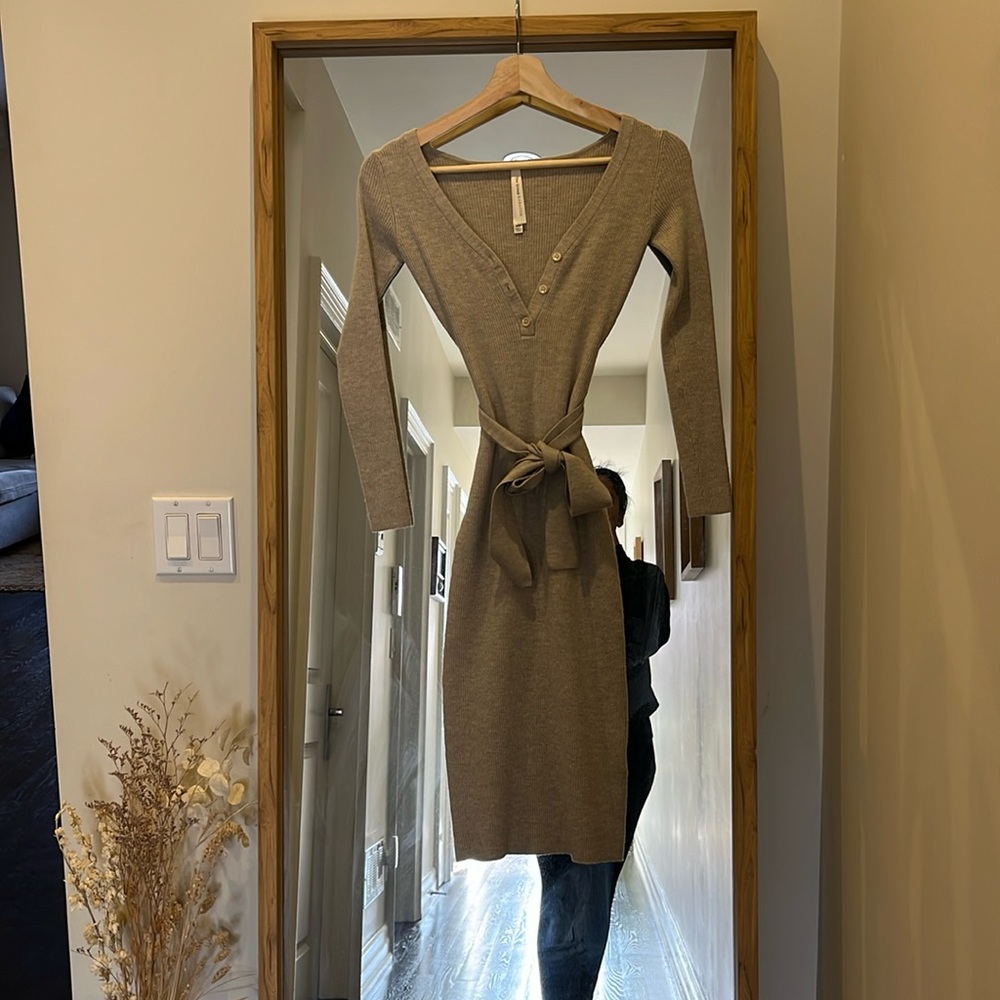 Aritzia merino wool knit dress
